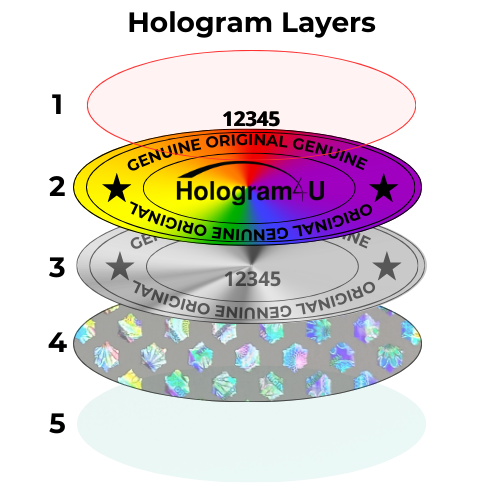 Hologram Layers